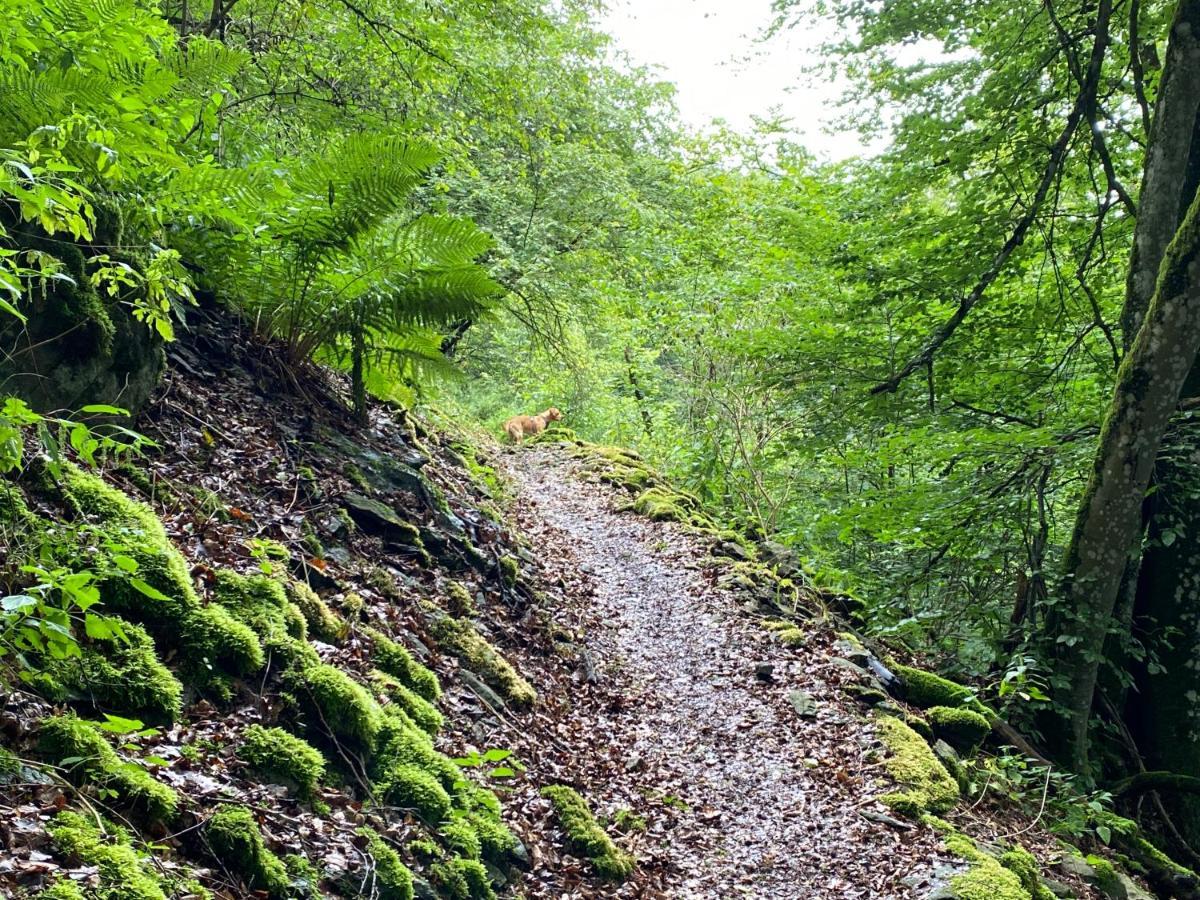 Waldlaeufer Brilon Appartement Buitenkant foto
