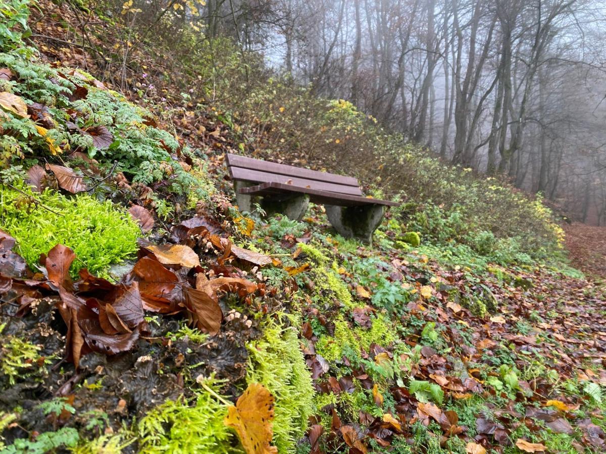 Waldlaeufer Brilon Appartement Buitenkant foto