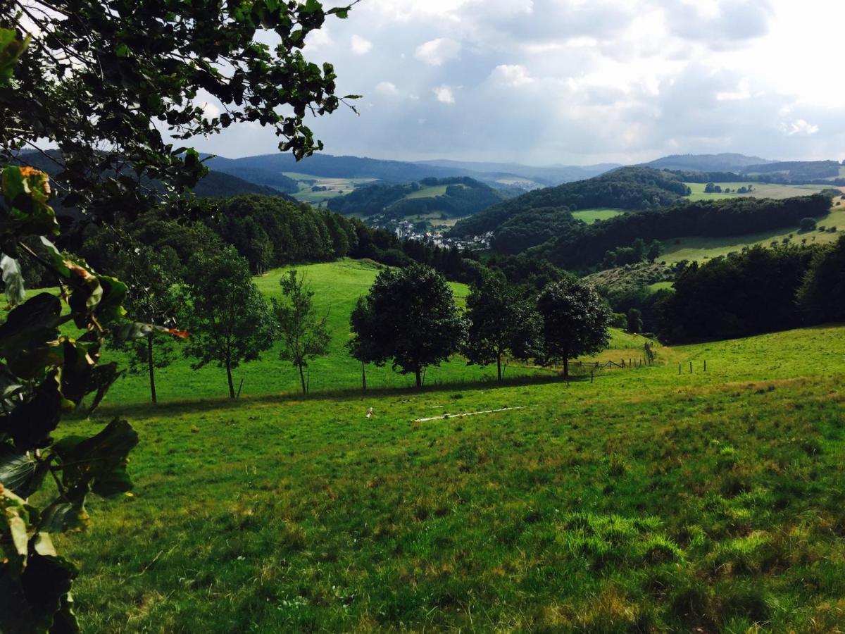 Waldlaeufer Brilon Appartement Buitenkant foto